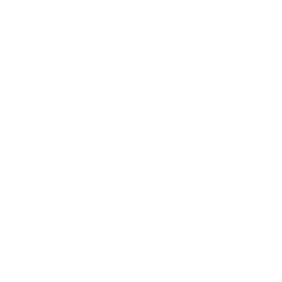 flip button